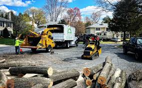 Best Aeration Services  in Orange Cove, CA