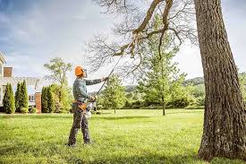 Best Lawn Grading and Leveling  in Orange Cove, CA